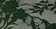 BILL BRA - Image 7